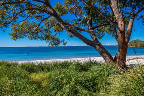 Collingwood Beach - Whitsundays Accommodation 0