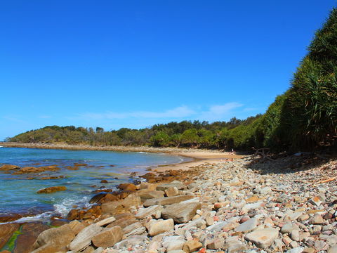 Convent Beach - Whitsundays Accommodation 2
