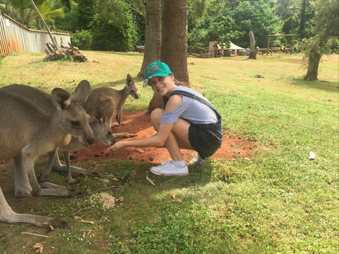 Cooberrie Park Wildlife Sanctuary - Whitsundays Accommodation 1