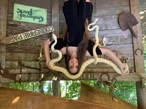 Cooberrie Park Wildlife Sanctuary - Whitsundays Accommodation 2