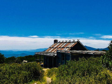 Craig's Hut - Whitsundays Accommodation 1