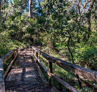 Dawson River Walking Track - Whitsundays Accommodation