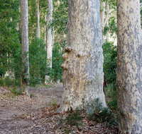 Delta Track - Whitsundays Accommodation