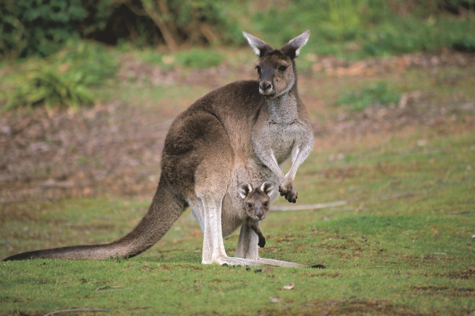 Donnelly River WA Whitsundays Accommodation