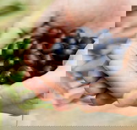 Eat Pick Grow Trail - Wanneroo and Chittering - Whitsundays Accommodation