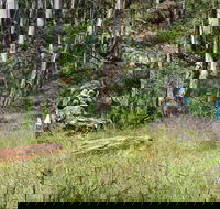 Federal Falls Walk - Whitsundays Accommodation