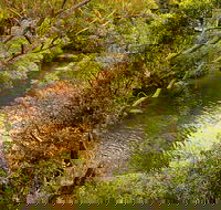 Girrakool loop track - Whitsundays Accommodation