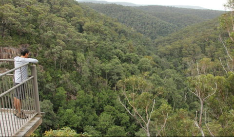 Granite Falls Walking Track - Whitsundays Accommodation 0