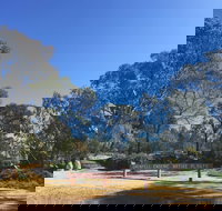 Grenfell Endemic Garden - Whitsundays Accommodation