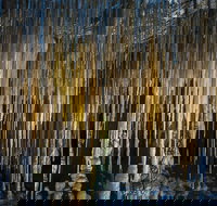 Hastings Caves and Thermal Springs - Whitsundays Accommodation