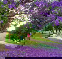 Howe Park - Whitsundays Accommodation