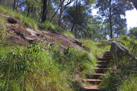 Ingleburn Reserve - Whitsundays Accommodation 2