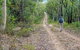 Kangaroo River Walking Track - thumb 0