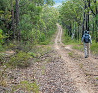Kangaroo River Walking Track - Whitsundays Accommodation