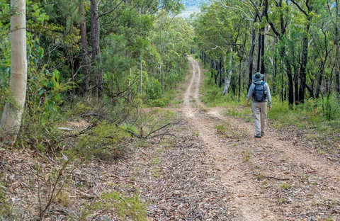 Kangaroo River Walking Track - Whitsundays Accommodation 0