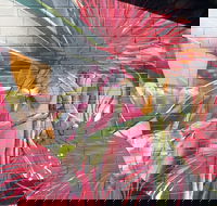 Mokoan Rest Stop Northbound - Whitsundays Accommodation