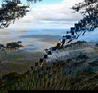 Mount Imlay National Park - Whitsundays Accommodation