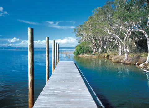 Noosa Everglades - Whitsundays Accommodation 1