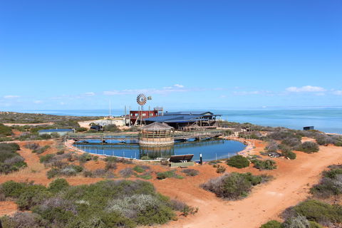 Ocean Park Aquarium - Whitsundays Accommodation 1