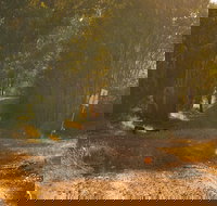 Raysource Road - Whitsundays Accommodation