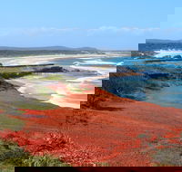 Red Cliff - Whitsundays Accommodation