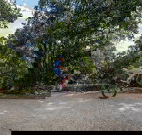 Samford Valley Rail Trail - Whitsundays Accommodation