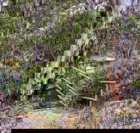 Sawpit Walking Track - Whitsundays Accommodation