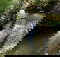 Second Ponds Creek Walk - Whitsundays Accommodation