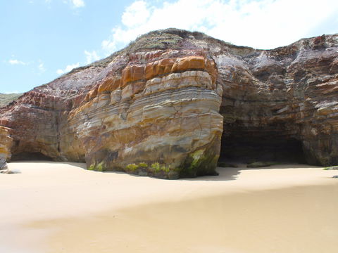 Shelley Caves - Whitsundays Accommodation 0