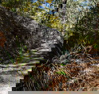 Starlights Trail - Whitsundays Accommodation