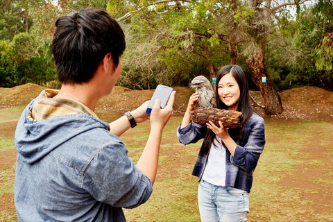 Taranna - Whitsundays Accommodation 0