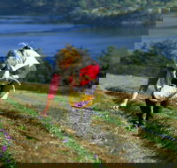 Tas-Saff - Whitsundays Accommodation