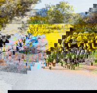 The Heron's Highway - Avon River Cycle Trail - Whitsundays Accommodation