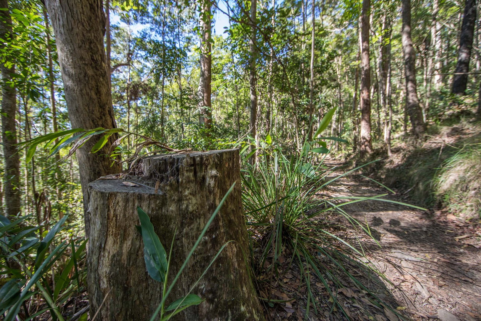 Mount Nebo QLD Whitsundays Accommodation