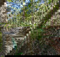 Thylogale Track - Whitsundays Accommodation