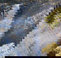 Walcha - Whitsundays Accommodation