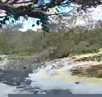 Walyunga National Park - Whitsundays Accommodation