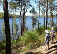 Wellington Discovery Forest - Whitsundays Accommodation