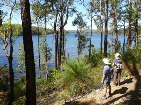 Wellington Discovery Forest - Whitsundays Accommodation 0