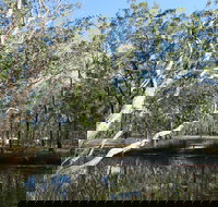 Wongi State Forest - Whitsundays Accommodation