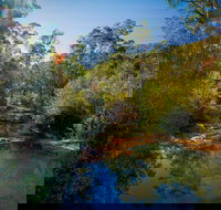 Bargo State Conservation Area - Whitsundays Accommodation