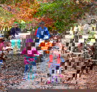 Beechworth to Everton Station 16km - Whitsundays Accommodation