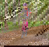 Bom Bom State Forest Mountain Bike Trails - Whitsundays Accommodation