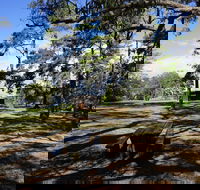 Bowen Mountain Park - Whitsundays Accommodation