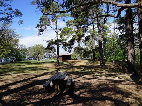 Bowen Mountain Park - Whitsundays Accommodation 0