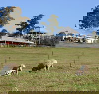 Calmsley Hill City Farm - Whitsundays Accommodation