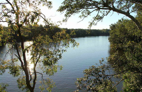 Cattai National Park - Whitsundays Accommodation 0