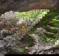 Cave Creek Walking Track - Whitsundays Accommodation