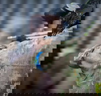 Delta Force Paintball - Whitsundays Accommodation