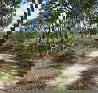 Djukbinj National Park - Whitsundays Accommodation